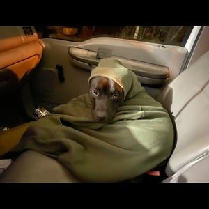 Meet your Posher, Chase